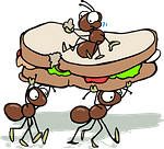 ants carrying away a sandwich